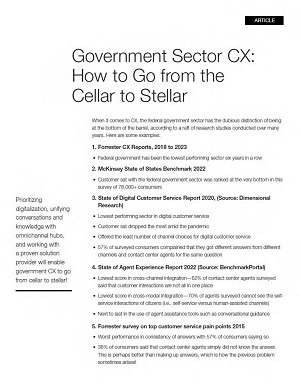 Government Sector CX: How to Go from the Cellar to Stellar